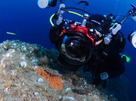 marine observation